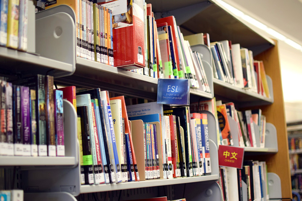 Photo of library bookshelves in the World Languages collection